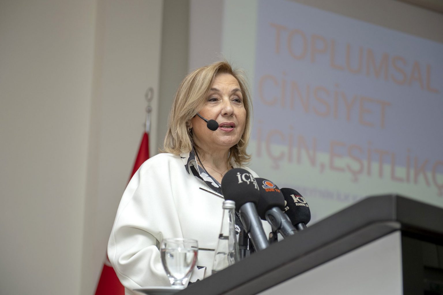 Türkiye Basın Konseyi Başkanı Pınar Türenç
