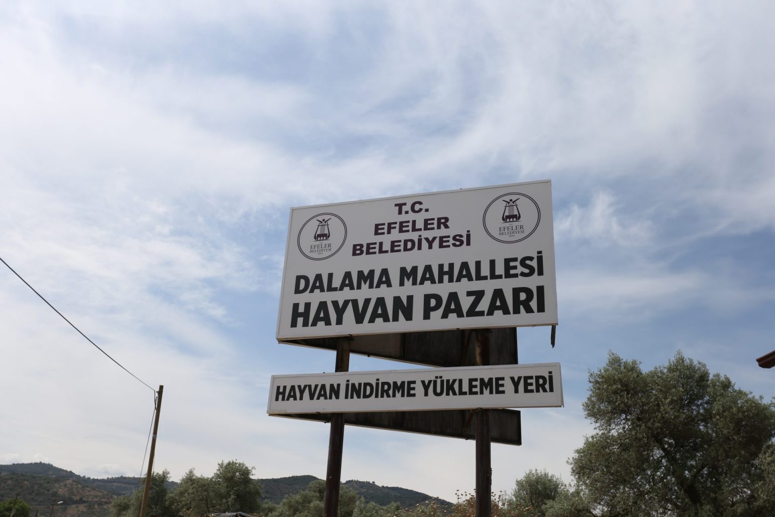 Dalama Hayvan Pazarı açıldı ozelkalem.com .tr 1