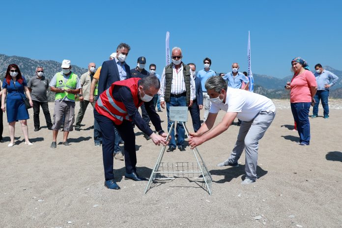 Deniz kamplumbağalarının alnları koruma altında