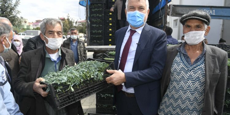 Adana Büyükşehir, şu ana kadar 2 milyon 400 bin çilek, lavanta ve domates fidesi dağıtırken, üreticiye sıvı gübre desteğinde de bulundu.