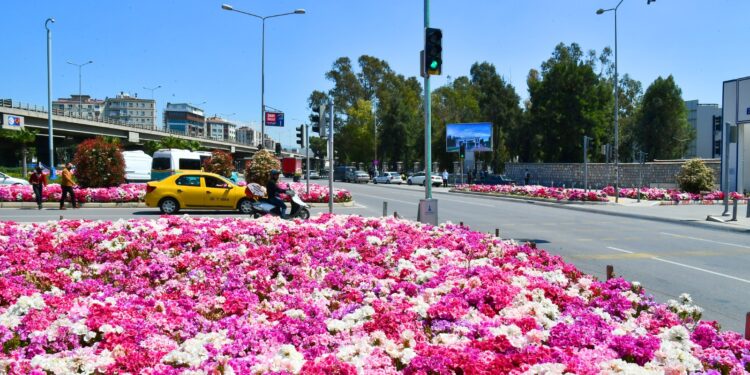 İzmir Büyükşehir Belediyesi baharı kentin dört bir yanına diktiği çiçeklerle karşıladı. Rengarenk çiçeklerle süslenen alanlar kenti mis kokuya boğdu. 