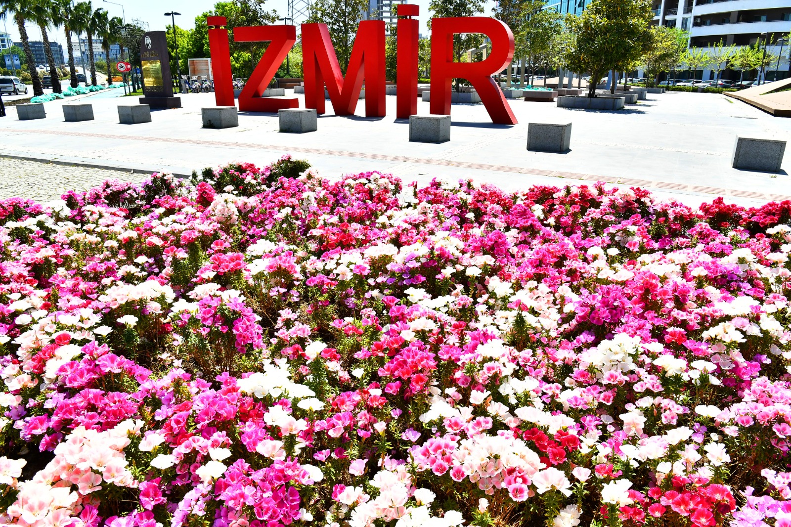 İzmir Büyükşehir Belediyesi baharı kentin dört bir yanına diktiği çiçeklerle karşıladı. Rengarenk çiçeklerle süslenen alanlar kenti mis kokuya boğdu.