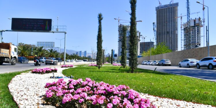 İzmir Büyükşehir Belediyesi baharı kentin dört bir yanına diktiği çiçeklerle karşıladı. Rengarenk çiçeklerle süslenen alanlar kenti mis kokuya boğdu. 